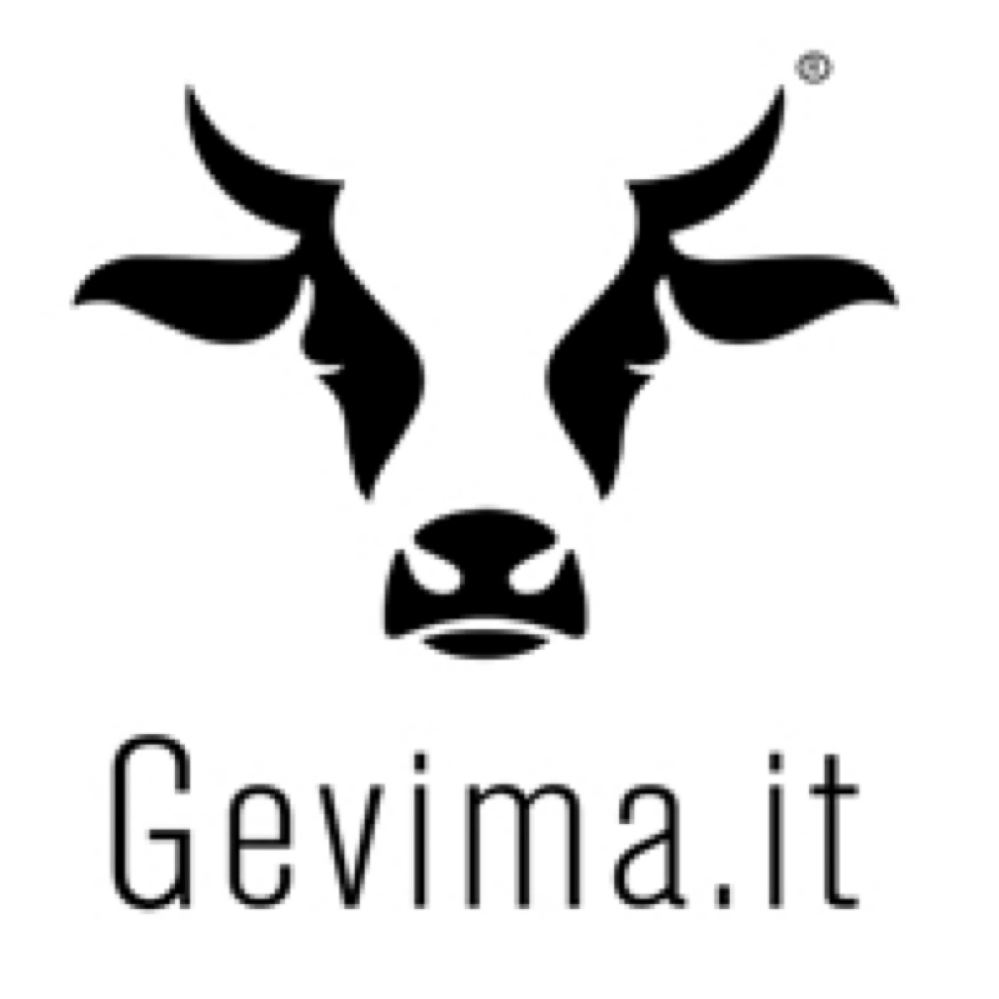 Gevima.it